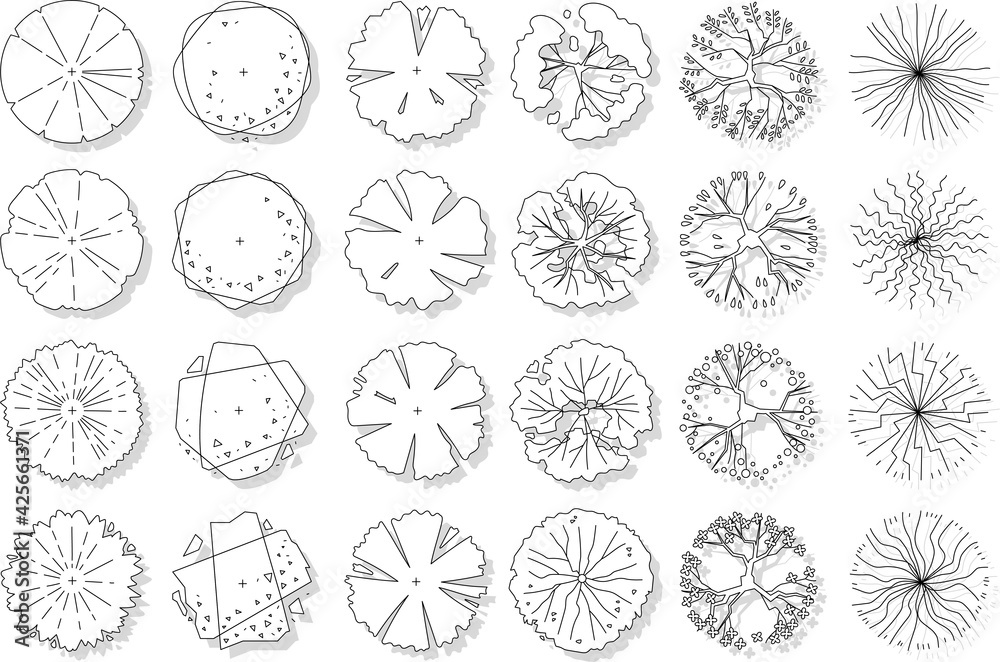 vector set of top view tree isolated on white background