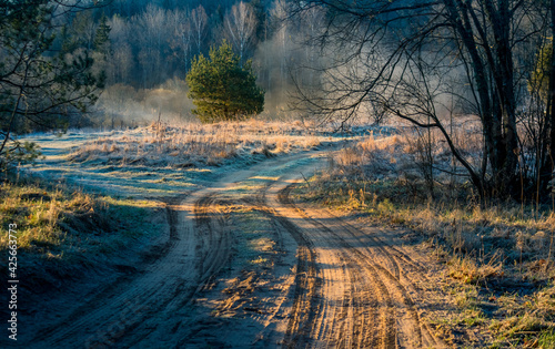 A beautiful scenery of an old road leading through the spingtime forest. Spring landscape of a forest road in woodlands in Northern Europe.