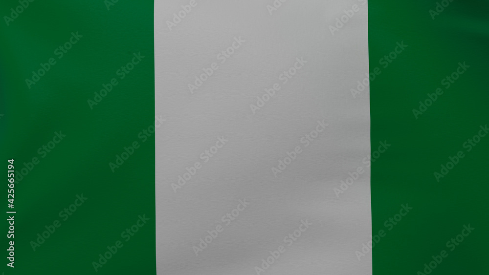 Nigeria flag texture