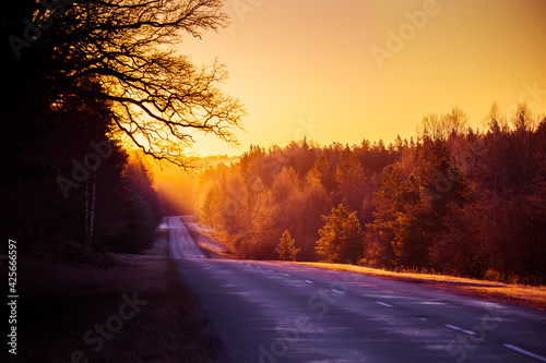 A beautiful landscape with a country road in misty morning during the sunrise. Morning scenery of a road in sprintime. Northern Europe.
