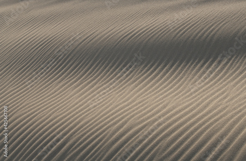 鳥取砂丘にできた風紋  © top10top