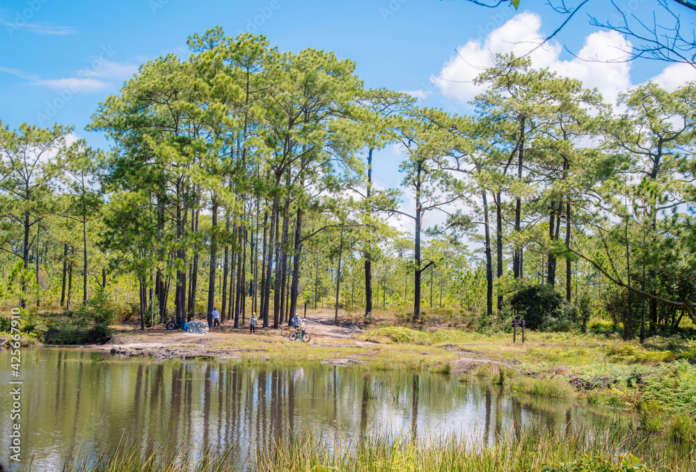 Obraz premium Mountain basin, Anodat Sra, Phu Kradueng, Thailand
