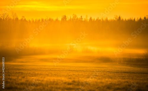 A beautiful misty springtime sunrise over the rural area in Northern Europe. Spring landscape with soft, diffused light.