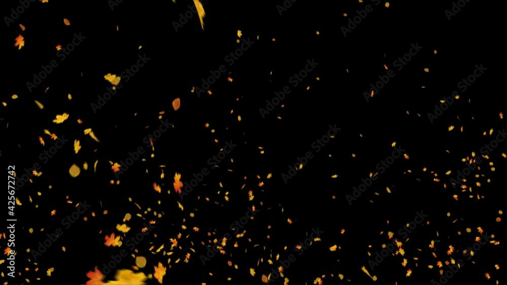 Explosion of autumn maple leaves realistic.3D rendering.Element footage. Easy to use and change color.