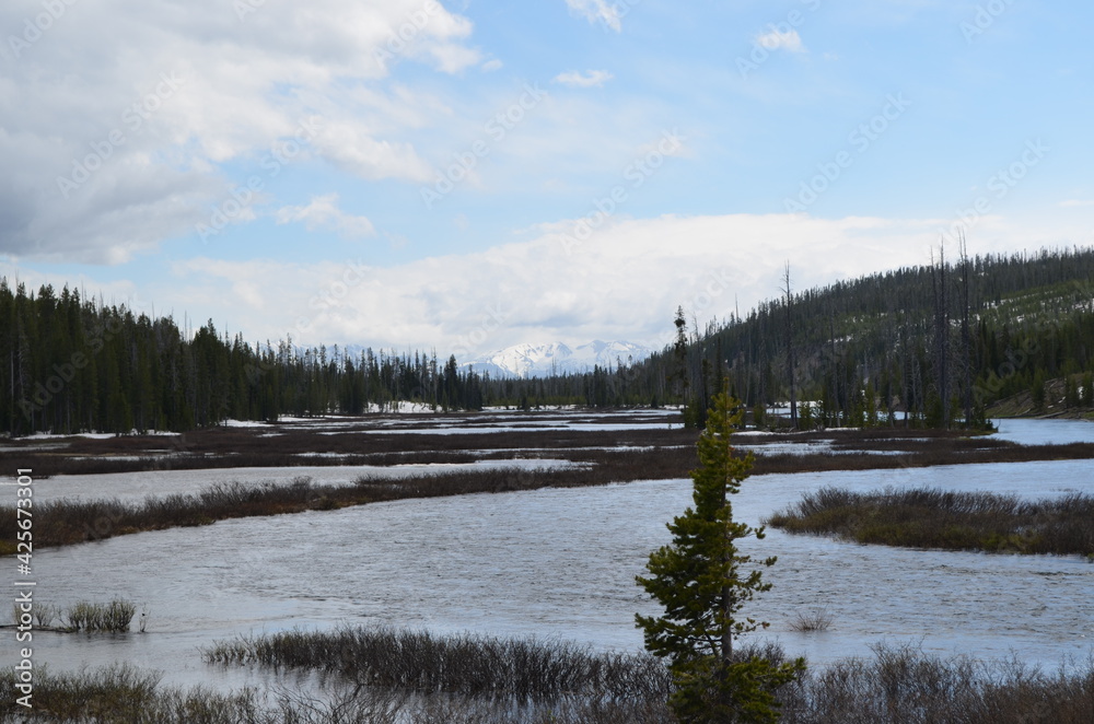 Late Spring in Yellowstone National Park: Lewis River Downstream of Lewis Falls Next to the South Entrance Road With Owl Peak and Elk Mountain of the Teton Range in the Distance Late Spring in Yellowstone National Park: Lewis River Downstream of Lewis Falls Next to the South Entrance Road With Owl Peak and Elk Mountain of the Teton Range in the Distance
