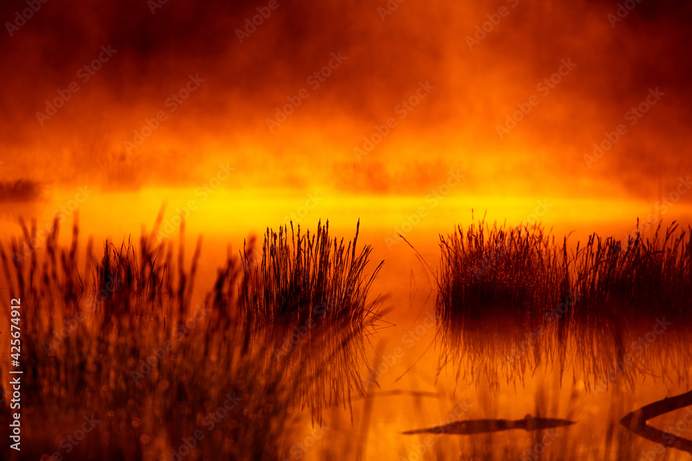 Dramatic, artistic scenery of a sunrise over flooded wetlands in Northern Europe. Springtime swamp with mist and colors. Beautiful scenery in the spring morning. Dramatic, artistic scenery of a sunrise over flooded wetlands in Northern Europe. Springtime swamp with mist and colors. Beautiful scenery in the spring morning.