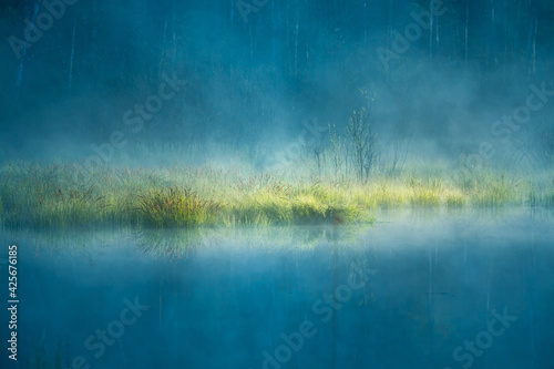 A beautiful flooded wetlands during the sunrise in spring. Fress, green grass growing in the water. Misty morning over the swamp. Springtime scenery in Northern Europe.