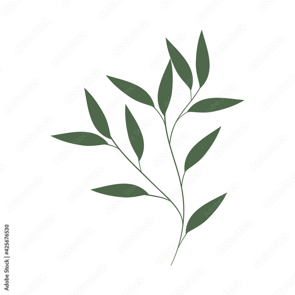 Fototapeta common ash leaves