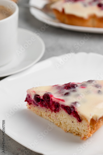 Homemade cake with cranberries and sour cream. Piece of pie close up. Vertical image
