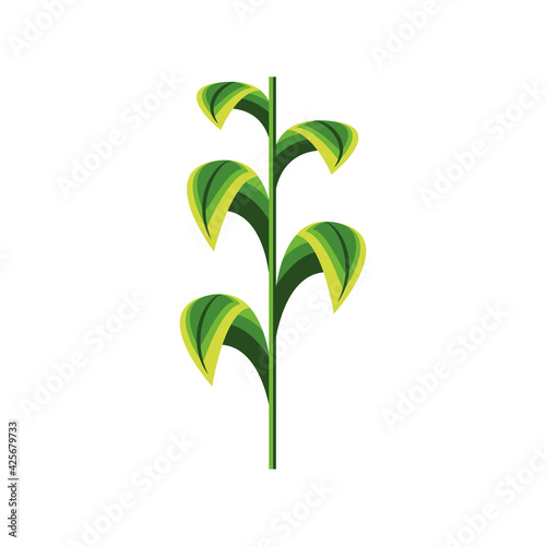 leaves stem foliage