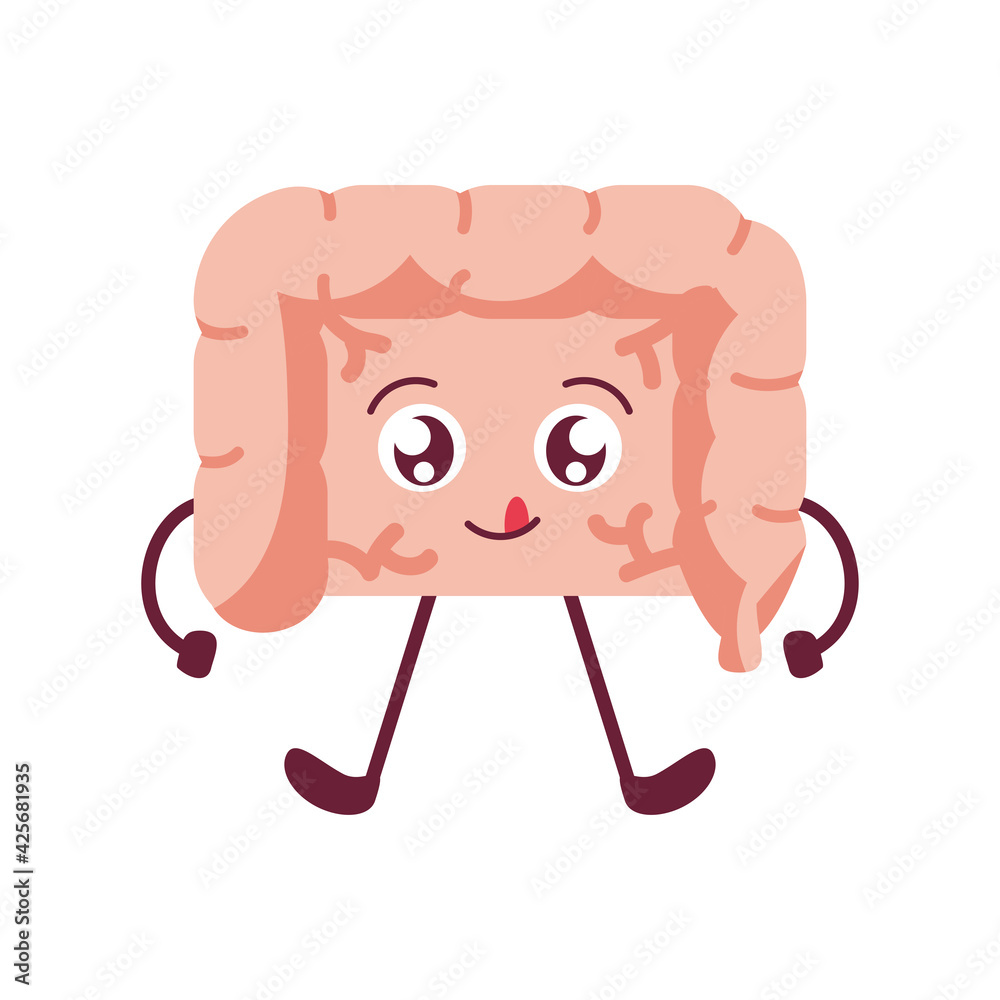 Obraz premium cute intestine organ