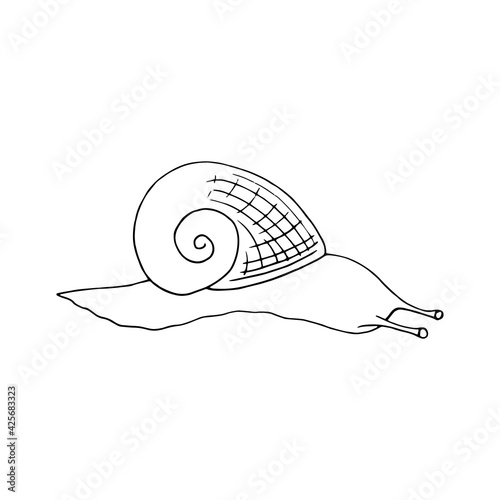 snail icon. hand drawn doodle style. vector, minimalism, monochrome, sketch. clam, shell, slow.