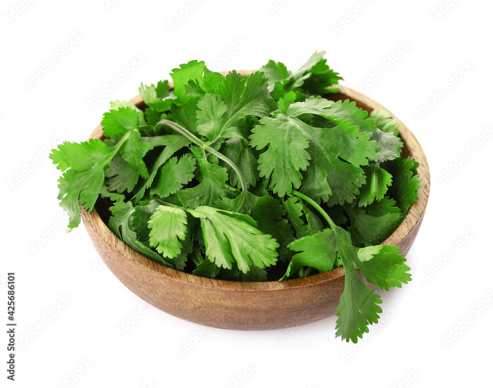 Bowl with fresh cilantro on white background Bowl with fresh cilantro on white background