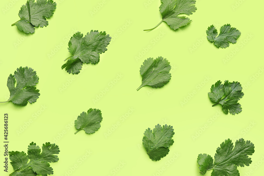 Fresh cilantro on color background