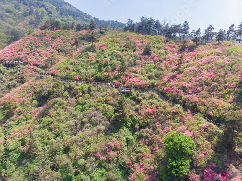 Spring aerial scenery of Huangpi Mulan Yunwu Mountain in Wuhan, Hubei