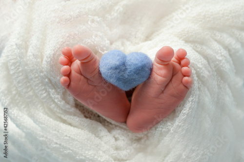 newborn baby's bare heels hold a blue heart on a white background. Bare heels of a newborn in a white blanket. Motherhood and family concept. Love. Close-up. Copy-space