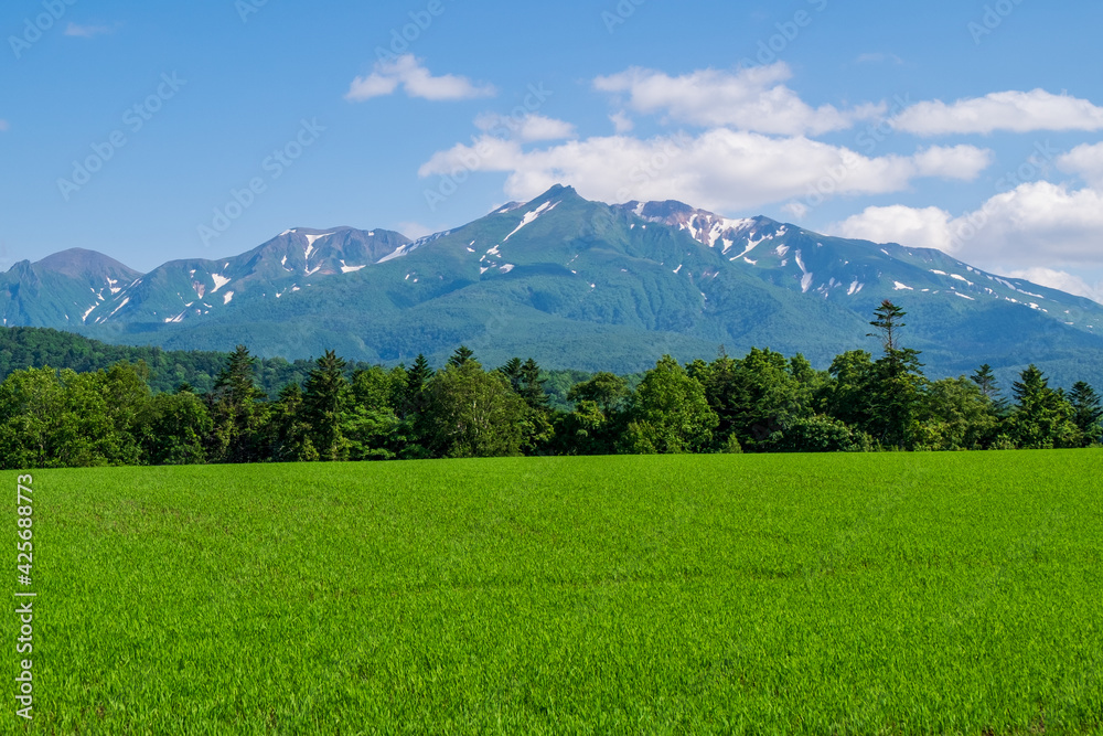 初夏の上川町 大雪山が見える風景
