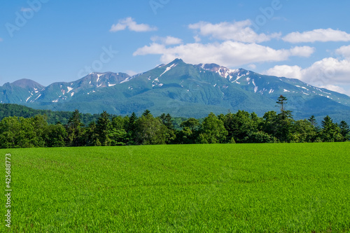 初夏の上川町 大雪山が見える風景 