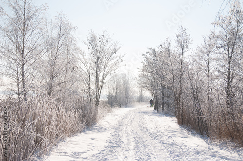 Winterlandschaft © fotograf-halle.com