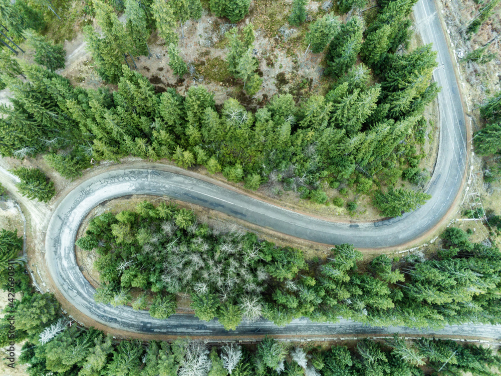 Aerial view of countryside road passing through the green fir forest and mountain