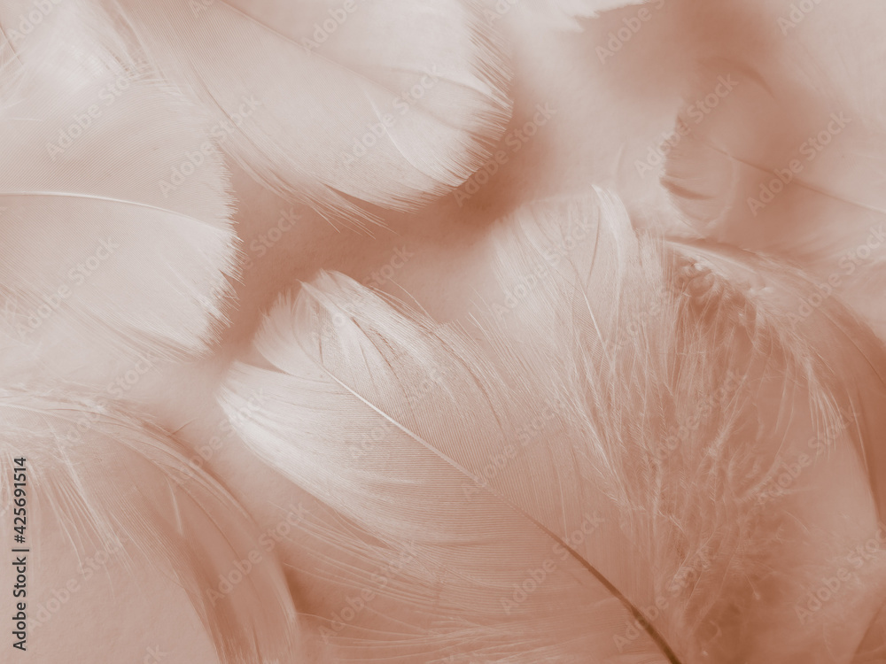Fototapeta premium Beautiful abstract white and brown feathers on white background and soft yellow feather texture on white pattern and yellow background, feather background, gold feathers banners, brown texture