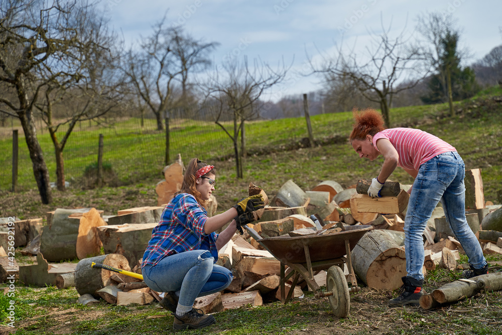 Women loading wood in the wheelbarrow Women loading wood in the wheelbarrow