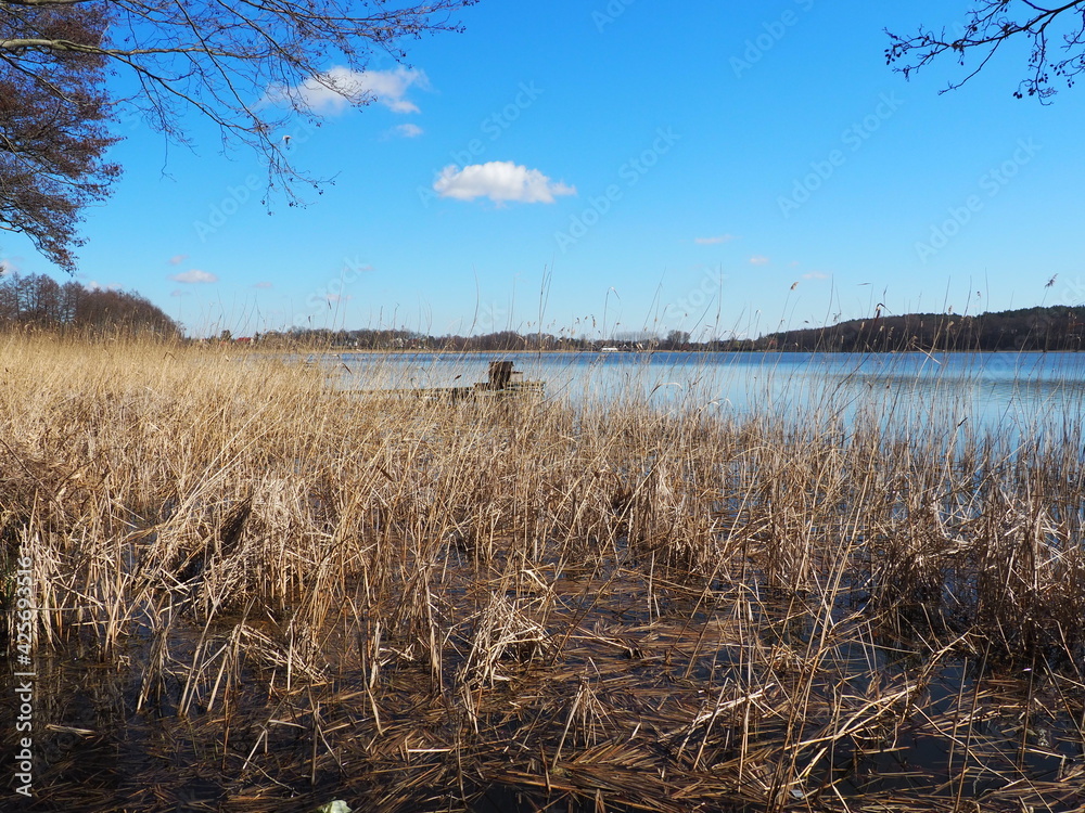 Fototapeta premium jezioro, krajobraz, woda, brzeg, niebo, pomost, rośliny