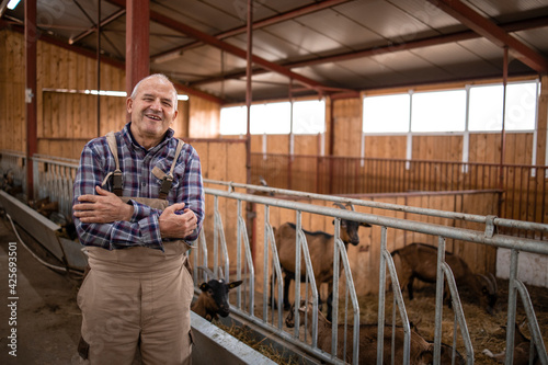 Portrait of senior farm worker with arms crossed standing in farmhouse. In background domestic animals eating. Organic food and meat production.