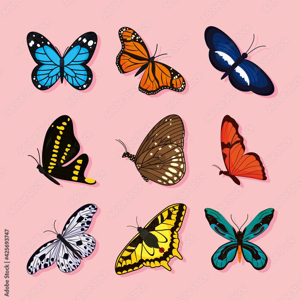 Fototapeta premium butterflies icon set