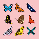 butterflies icon set