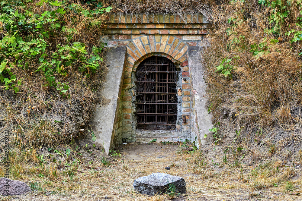 The entrance to a bunker in the forest.