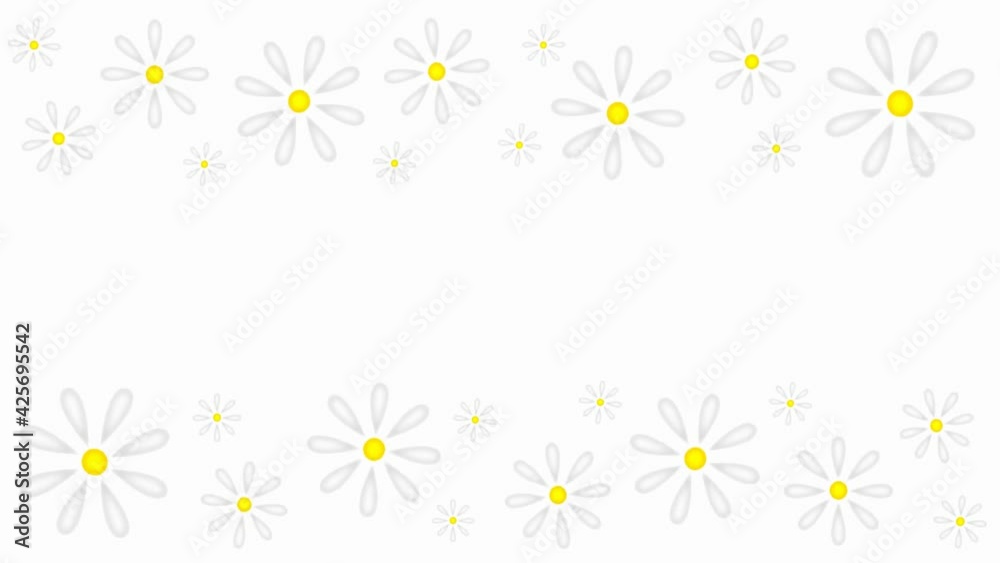 beautiful animation with daisies on a white background beautiful animation with daisies on a white background