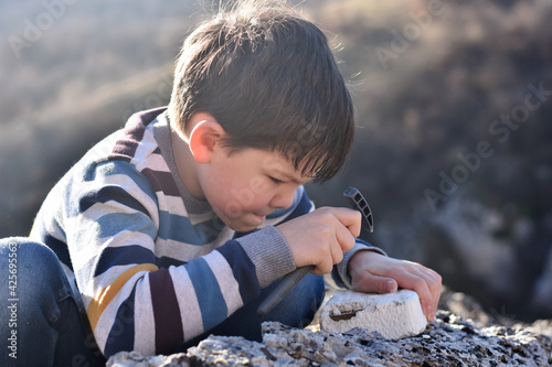 Bilde på lerret Happy child digging the dinosaur and having fun with archaeology excavation kit