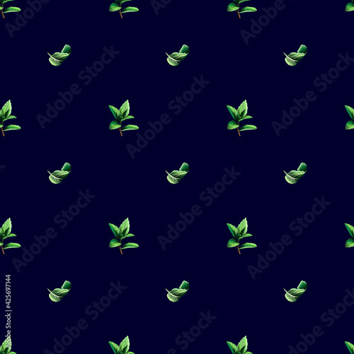 mint set. seamless pattern. medicinal herbs. mojito cocktail