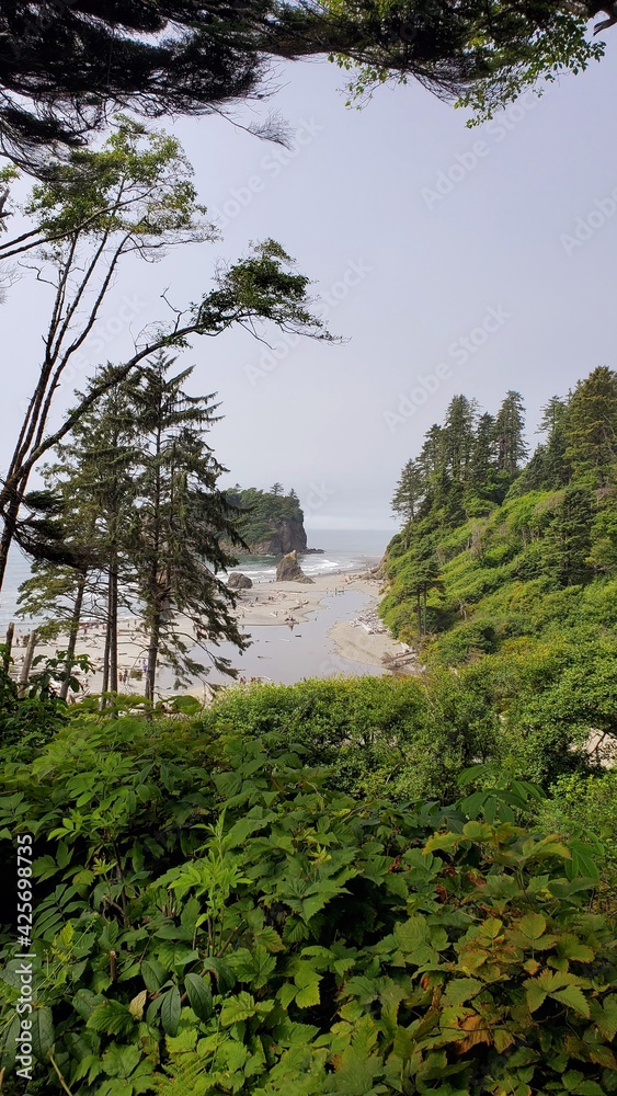 Fototapeta premium Ocean view through the coastal trees