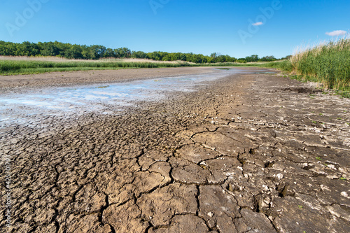 Vászonkép Dry riverbed with cracked ground of bottom, water leftovers in puddles and green