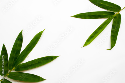 Fototapeta Naklejka Na Ścianę i Meble -  background texture nature bamboo leaf arrangement flat lay postcard style on white