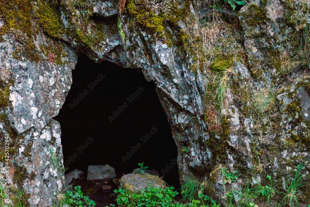 Landscape with cave and forest. Scenic entrance to cave. Rock wall with a dark hole