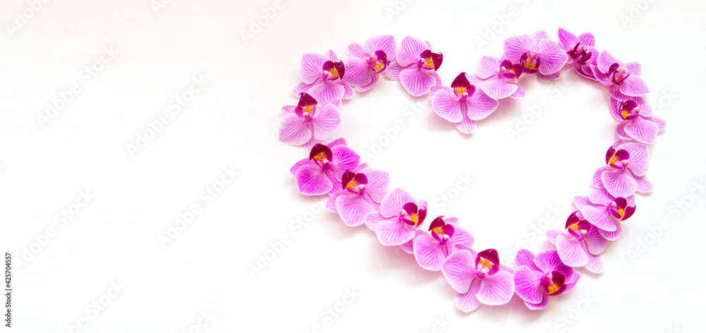 Orchid flowers on a white background in the shape of a heart. The flowers are purple in color.