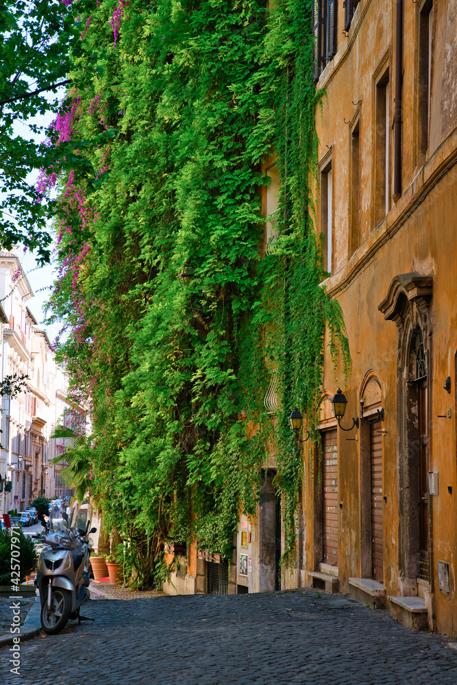 Obraz premium view of the trastevere district, rome, italy