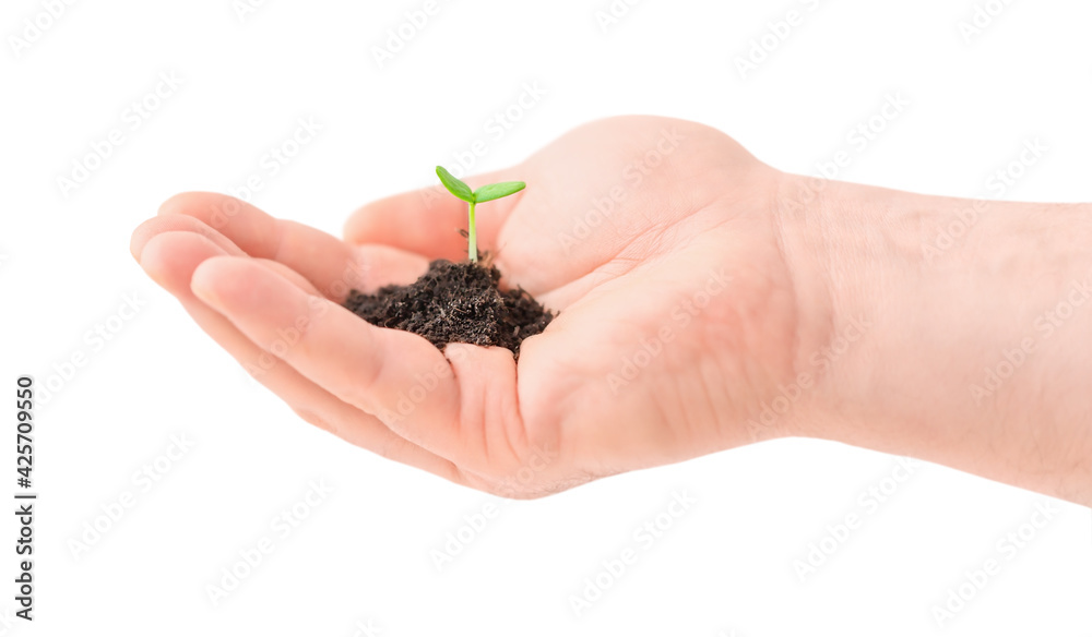 Human hand with seedling in soil isolated on white background Human hand with seedling in soil isolated on white background