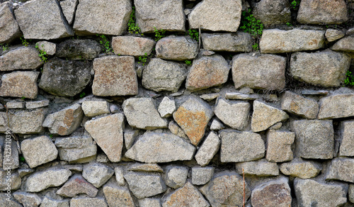 ancient stone wall background with rocks of different shapes, textures and colors, and plants