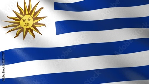Flag of The Uruguay. Flag's footages are rendered in real 3D software. Perfect for TV, Movies, social, HUD, presentations, webs etc.