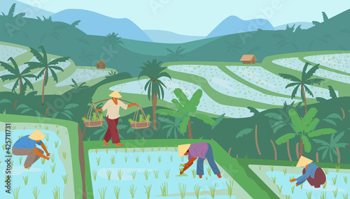 Terraced Asian Rice Fields In Mountains With Workers In Conical Straw Hats. Traditional Agriculture. Vector Illustration.