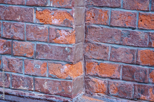 fragment, branching, brick, wall, close-up, texture, background, backgrounds, stone,