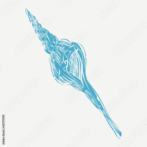 Blue murex shell in cute illustration photo