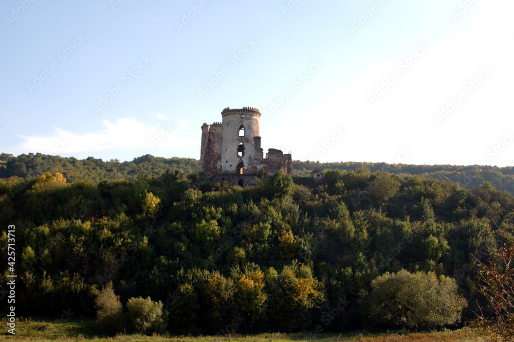 ruins of the castle