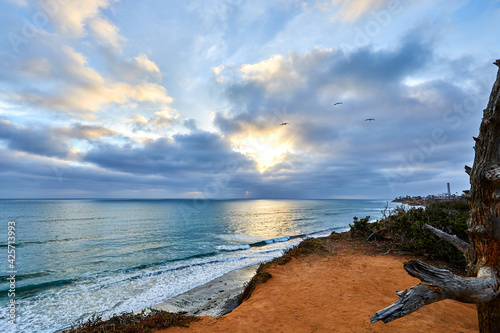 cliffs overlooking carlsbad california beach and dead tree and clouds photo