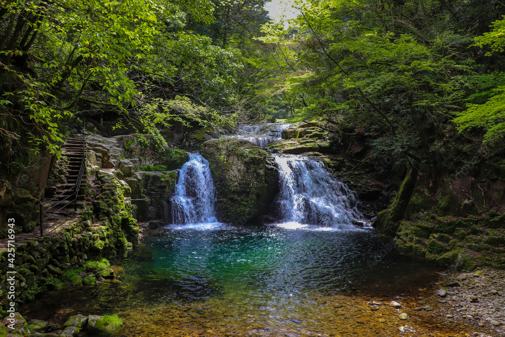 Fototapeta premium 赤目四十八滝・荷担滝