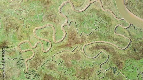 aerial view of serpentine marsh crossed by a river 